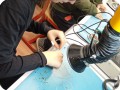 photo 2022 11 01 10 23 23  2 